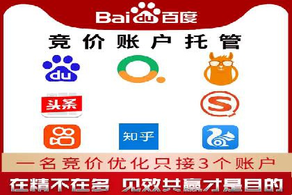 百度竞价广告投放成功案例解析